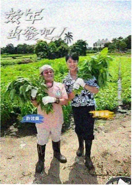 综艺快线情绪强度标注资讯配图